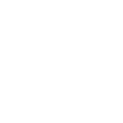 nishi
